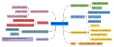 Heilwasser-Guide
