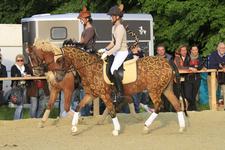 KATINA Showcup auf der EQUITANA Open Air- jetzt bewerben!
