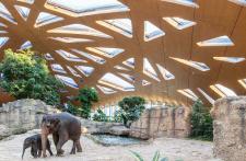 Ausstellung „Bauen mit Holz – Wege in die Zukunft“ in Berlin zu sehen