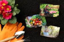 Ab in den Garten! - Die Gartentrends 2020