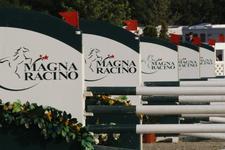 Österreichische Nachwuchs-Staatsmeisterschaften Springreiten im Pferdesportpark Magna Racino