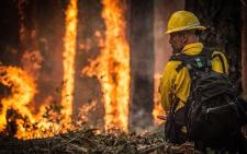 ADRA will Waldbrand-Überlebende in Kalifornien mit 50.000 US-Dollar unterstützen