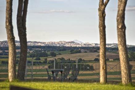 Singlereisen offenburg
