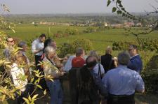 Pfälzer Weinorte und Weinlagen entdecken