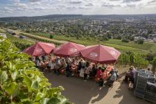 Weinlesefest findet erstmals Sonntag statt