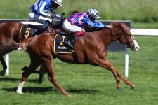 BADEN RACING: Itobo und Altmeister Gröschel gewinnen den Grand Prix im FRÜHJAHRSMEETING