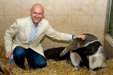 Der Tourismusdirektor und der Ameisenbär