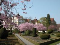 Zwischen Konzil und Weinkultur: das Programm 2014