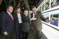 Einzigartige Industrienatur auf dem Welterbe Zollverein