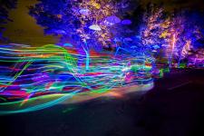 Wettlauf mit der Aurora Borealis: Erster Nordlichter-Lauf in Island