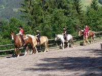 Pieks mich mal: In der Wildschönau übernachten Reiter im Heustadl auf der Alm
