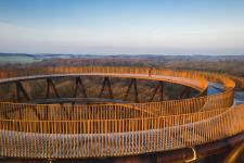 360-Grad-Panorama über den Baumwipfeln: Seelands höchster Aussichtsturm eröffnet