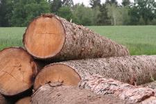 Aus rund wird eckig - so entsteht ein Holzhaus