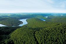 Vortrag & Forum im Nationalparkamt: "Wo wollen wir hin, wie packen wir es an?" - der neue Nationalpark-Plan