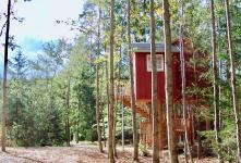 Neu im Bayerwald: Baumhaus-Urlaub für jedermann