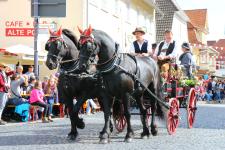 Fünf Tage Stimmung und Gaudi pur!