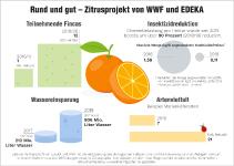 Zitrusprojekt von WWF und EDEKA: EDEKA-Verbund hat die umweltfreundlichste Orange!