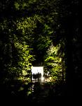Gartenregion Hannover: Volles Programm bis September - Kultur und Feste im Grünen, Gärtnern und Genießen, Sport und Wellness stehen im Mittelpunkt