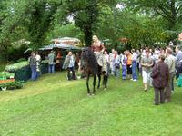 Die Gewinner stehen fest