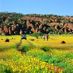 Bunte Farbenvielfalt im Outback