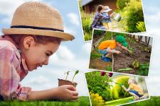 Wie gestalte ich meinen Garten kinderfreundlich?