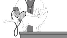 Diagnose und Therapie von Bluthochdruck auch für Katzen relevant
