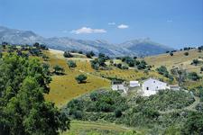 Zwischen Alhambra und Liegestuhl: Neue smart & small-Reise von Studiosus durch Spaniens Süden