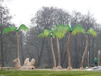 Sensation: Kamel unter Palmen in Schwerin