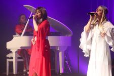 One Night of ABBA - Magdeburg - Seebühne - 19. Juli 2014 - 20.30 Uhr
