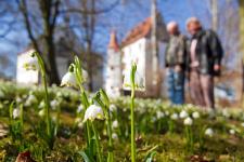 Von Ei- Phone bis Osterbrunnentour - Frühling im Erzgebirge