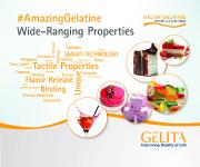 GELITA #AmazingCollagen and #AmazingGelatine at IFT 2019