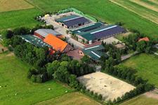 Gold-Trainerin auf dem Hof Sosath