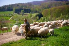 Genussreise auf der Schwäbischen Alb