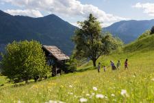 Die grüne Welle im Tourismus
