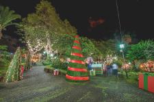 Urlaub ohne Quarantäne: Madeira gilt als sicheres Weihnachtsziel