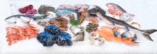 Transgourmet Seafood stellt Workshop- und Seminarprogramm für 2019 vor