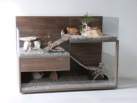 Design jetzt auch für Meerschweinchen und Co.