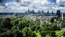 Grün, grüner, Mainova Frankfurt Marathon