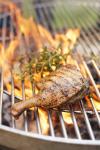 Alles Ente auf dem Grill? sous-vide gegarte Grillprodukte