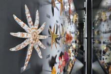 "Kunstformen der Natur" als Inspiration für den Jugendstil. Museum Wiesbaden würdigt Ernst Haeckel mit Dauerausstellung