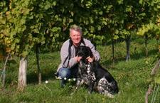 Vitalkur für den Weinstock