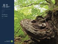"Strukturen der Vielfalt"- Nationalpark-Wandkalender 2015