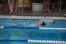 6x Gold, 1x Silber und 1x Bronze - Großer Bahnhof für erfolgreiches Landenberger Schwimmteam