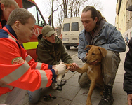 Helfer mit Herz. Die Tierrettung im Einsatz