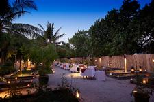 Ein Kraut im Sandbett: Blick hinter die Kulissen eines Malediven-Resorts