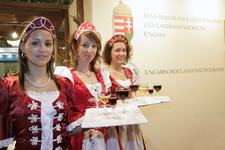 Ausstellerrekord bei der JAGD & HUND 2008