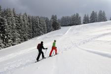 Auf Schneeschuhen verborgene Plätze rund um Isny erkunden