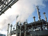 WWF unterstützt EU Kommission beim Verbot von "Schwindelzertifikaten"