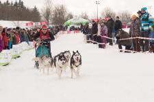 38 Jahre Schlittenhunderennen in Clausthal-Zellerfeld