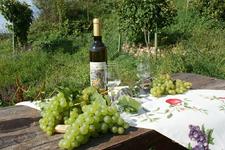 Neuer Händel-Wein in Halles Tourist-Information im Angebot